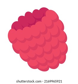 Raspberry three quarter view. Berry in cartoon style.