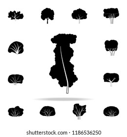 raspberry tree icon. Plants icons universal set for web and mobile
