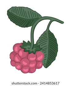 Himbeerbeeren Zweig Beeren Clipkunst. Essbare Frühlingsernte. Cartoon, Vektorgrafik, Botanik, einzeln auf weiß.