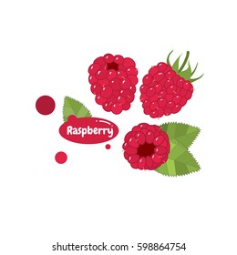 Raspberry Vector Stock Vector (Royalty Free) 598864754 | Shutterstock