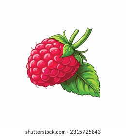 raspberry vector 2d flat color white background