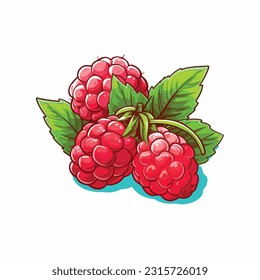 raspberry vector 2d flat color white background