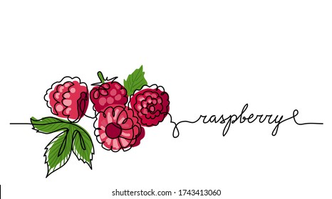 Raspberry vector color illustration, background, sketch banner for label design. One continuous line drawing of raspberry with lettering. Editable black stroke.