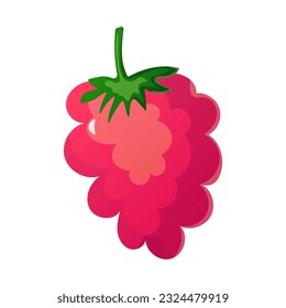 raspberry of vector flat illustration
