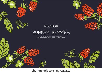 Raspberry. Vector floral background. Hand drawn illustration with berries and bees