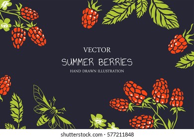 Raspberry. Vector floral background. Hand drawn illustration with berries and moth