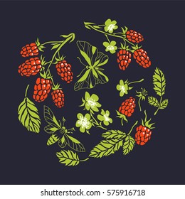 Raspberry. Vector floral texture with forest berries. Hand drawn illustration with plants and butterflies. Circle composition with natural elements for print