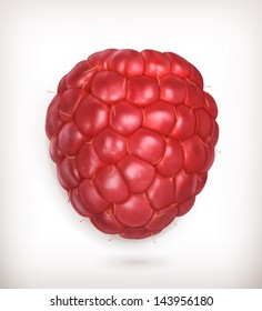 Raspberry, vector high quality