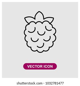 Raspberry Vector Icon