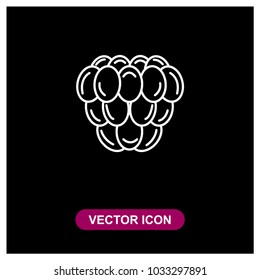 Raspberry Vector Icon