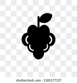 Raspberry vector icon isolated on transparent background, Raspberry logo concept
