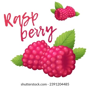 Raspberry vector icon isolated on white background, sweet pink berry with leaves cartoon illustration, fresh summer season healthy organic food