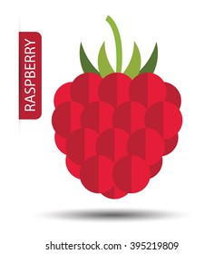 Raspberry vector illustration