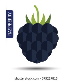 Raspberry vector illustration