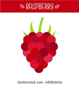 Raspberry Vector illustration.