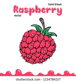 Raspberry vector illustration, berry clipart. Cartoon raspberry vector illustration for logo, design. Colored raspberry vector illustration for menu, package. Doodle berry clipart, raspberry isolated.