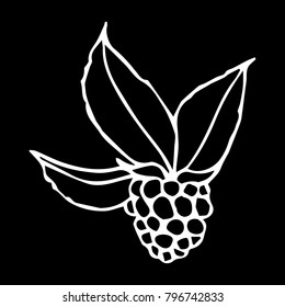 Raspberry vector illustration. Doodle style. Design, print, logo, decor, textile, paper.