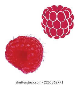 Raspberry vector illustration. Element for design.
