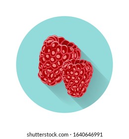 Raspberry vector illustration. Raspberry icon. Fresh healthy food - organic natural food isolated