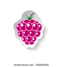 Raspberry vector illustration isolated on white background. Flat style fruit with shadow. Raspberry logo, banner template or patch. Paper design element. Pink berry jam tag or label. Garden harvesting