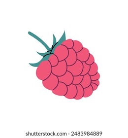 Raspberry. Vector illustration. Juicy and fresh summer berry. White isolated background. 