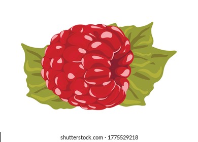 Raspberry Vector Illustration. Red Berry Drawing. Background design for sweets and pastries filled with raspberry, dessert menu, health care products, natural cosmetics. Collection berries with leaves