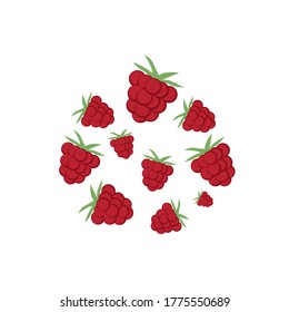 Raspberry. Vector illustration set of ripe red berries isolated on white background 