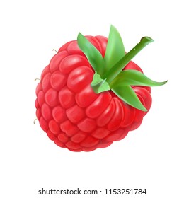 Raspberry. Vector realistic icon illustration