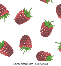 Raspberry. Vector seamless pattern. Botanical vintage hand drawn texture. Red berries isolated on white