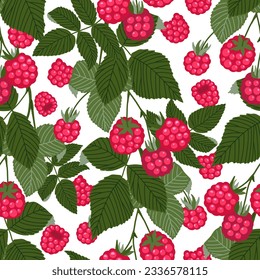 Raspberry vector seamless pattern. Sweet red forest berries and branches with leaves isolated on white. Botanical background. Hand drawn cute cartoon organic natural healthy fruit illustration