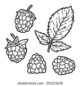 Raspberry. Vector set of hand drawn cute raspberry
