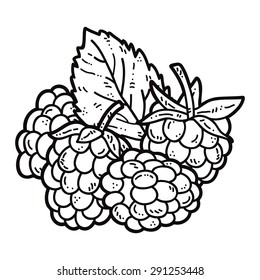 Raspberry. Vector set of hand drawn cute raspberry