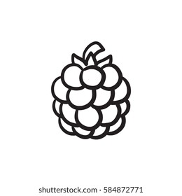 Raspberry vector sketch icon isolated on background. Hand drawn Raspberry icon. Raspberry sketch icon for infographic, website or app.