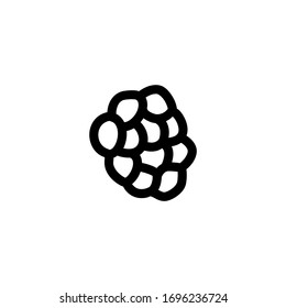 Raspberry Vegan Outline Icon Logo Vector Illustration
