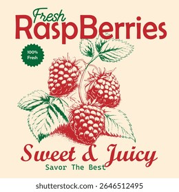 Raspberry vintage retro graphics. summer food grapics. Feeling berry mood.Sweet berry fruit club print design for t shirt, cafe poster.
