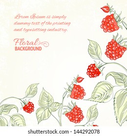 Raspberry, watercolor. Vector illustration, contains transparencies, gradients and effects.