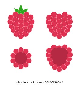 Raspberry whole and cut vector illustration on the white background