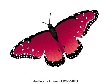 raspberry-red butterfly with hearts on wings. Isolated vector illustration on a white background.
