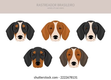 Rastreador Brasileiro clipart. All coat colors set.  All dog breeds characteristics infographic. Vector illustration