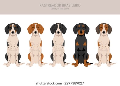 Rastreador Brasileiro clipart. All coat colors set.  All dog breeds characteristics infographic. Vector illustration