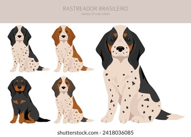 Rastreador Brasileiro puppies clipart. All coat colors set.  All dog breeds characteristics infographic. Vector illustration