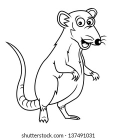 rat