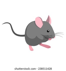 Rat