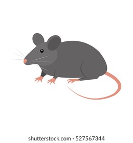 rat animal isolated icon