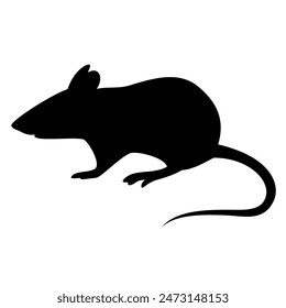 Rat animal silhouette. Vector image