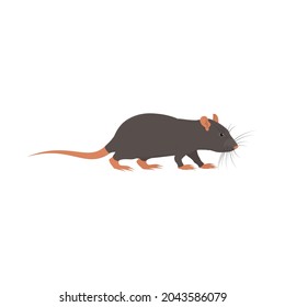 Rat. Animal rat, vector illustration