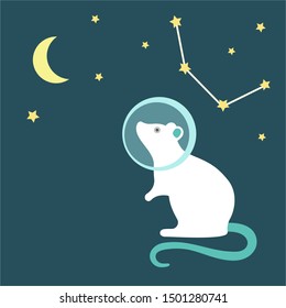 Rat astronaut in a spacesuit looks at the sky with the moon, month and rat constellation