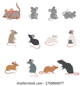 Rat Breeds Icon Set Flat Style Isolated On White. Pet Rodents Collection. Create Your Own Infographic About Pets. Cute Small Animal Rat Mouse Vector Illustration Flat Design