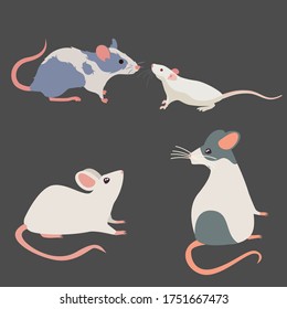 Icono de razas de rata fija el estilo plano aislado en blanco. Colección de roedores de mascotas.  ilustración vectorial 