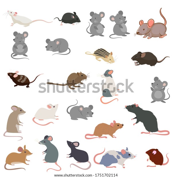 28,661 Cartoon Mice Set Images, Stock Photos & Vectors | Shutterstock